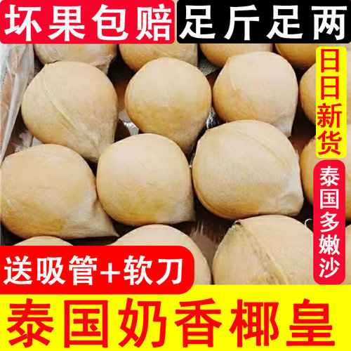 泰国进口牛奶椰皇新鲜椰子