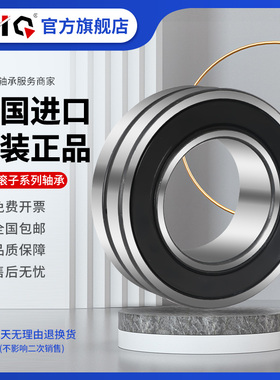 德国进口EIQ轴承BS2-2205 2206 2207 2208 2209 2210-2CS/VT143