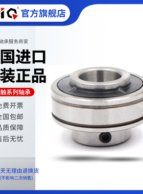 EIQ轴承ER SER204 205 206 207 12 14 15 16 18 19 20 21 22 23