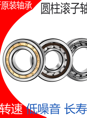 洛阳滚子轴承 N NU NJ 310 311 312 313 314 315 316 317 EM E W