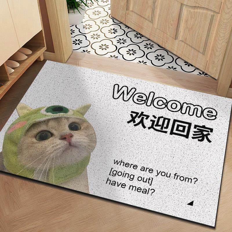 进门地垫网红防滑除尘入户蹭土丝圈地垫动物搞笑活着回来就行脚垫,居家布艺,入户地垫,淘宝优惠券,粉丝福利购,淘宝优惠卷