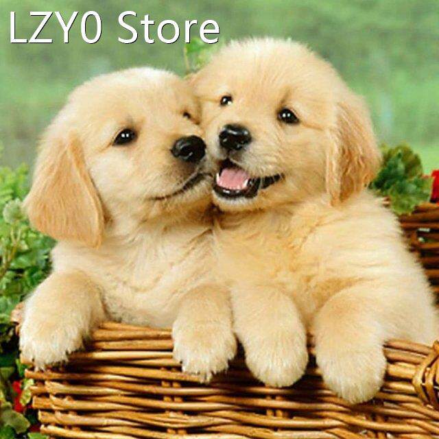 Dog 5D DIY Diamond Painting Full Drill Rhinestone Embroidery