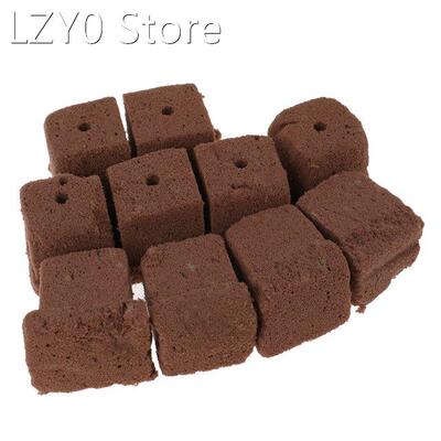 10pcs Grow Plug Soilless Cultivation Rose Plants Cuttings, C