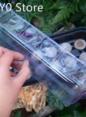 12 Hole Nursery Pot Plant Seed Grow Box Plant Germination Bo