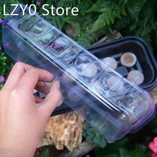 Grow Hole Nursery Pot Box Seed Plant Germination