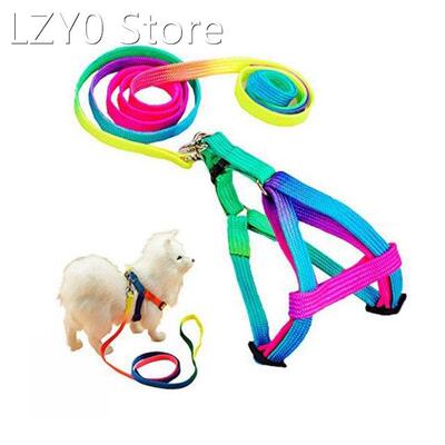 Adjustable Breakaway Rainbow Nylon Small Rabbit Cat collar l