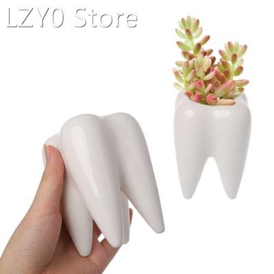 Tooth Shape Ceramic Flower Pot Green Succulent Planter Cactu