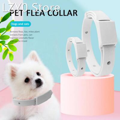3 Month Dog Cat Collar Anti Flea Tick Pet Collar Waterproof