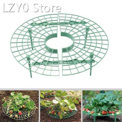 1Pc/set Strawberry Growing Circle Support Rack Tray Gardenin