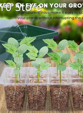 6/12 Cells Hole Plant Seeds Grow Box Gardening Sowing Tray T