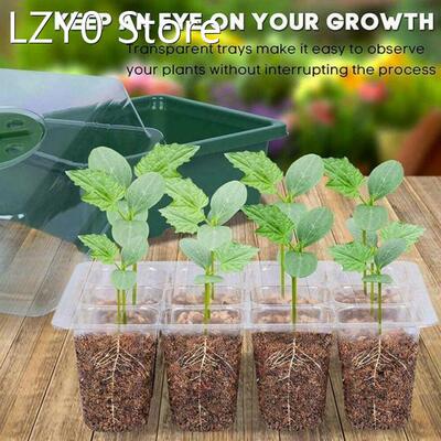 6/12 Cells Hole Plant Seeds Grow Box Gardening Sowing Tray T