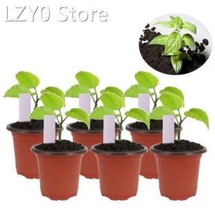 150 pcs Plastic Plants Nursery Pot for planting cuttings Dra