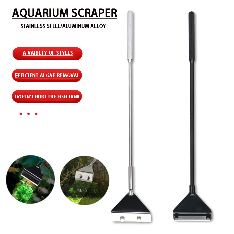ZRDR Stainless Steel Aquarium Fish Tank Algae Scraper Blade