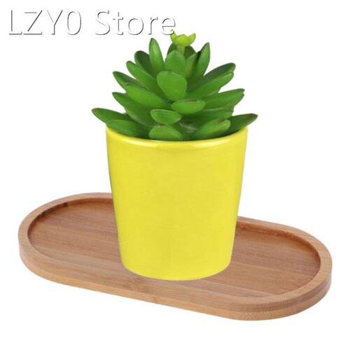 Oval Shape Bamboo Wood Saucer Plant Tray Plant Flower P