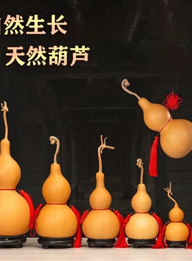 镇宅木胡芦天然葫芦家居风水摆件真葫芦风水挂件带龙头宝葫芦