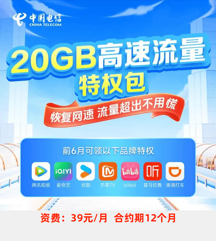 39元-20GB流量月包