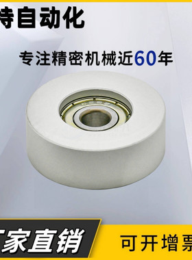 导向轮 V型 QBQ51/QBQ52/QBQ53-D30/40/50/60/100