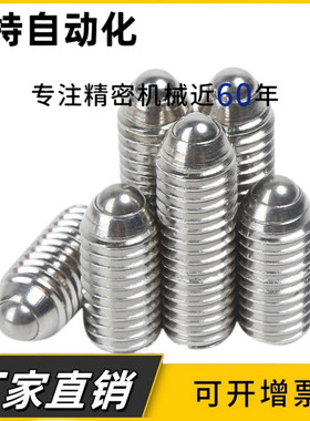 不锈钢球头柱塞BMS/BSM3/4/5/6/8/10/12/16