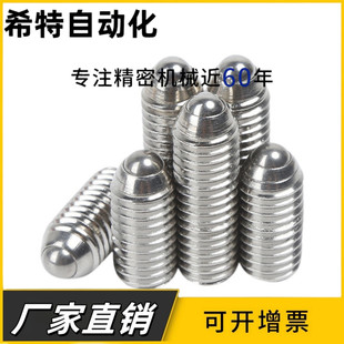 不锈钢球头柱塞BMS/BSM3/4/5/6/8/10/12/16