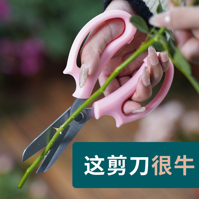 阳光玫瑰修果剪采摘水果花木剪园林果树花卉枝嫁接园艺剪刀工具