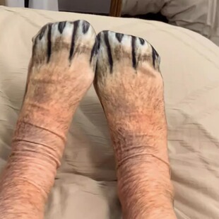 仿真狗腿袜子立体动物爪子中筒袜个性搞怪长筒袜创意成人猫狗脚爪