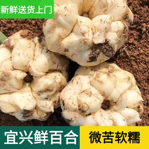 2026宜兴新鲜大百合特产纯食用农家天然百合无硫微苦1000g2500g