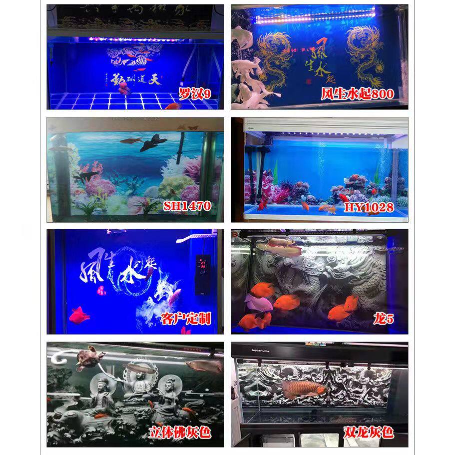 红橙蓝绿高清渐变色贴纸客厅卧室实木落地鱼缸NEW背景壁纸618包邮