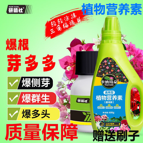 卡纳玛朵植物营养素爆根芽多多