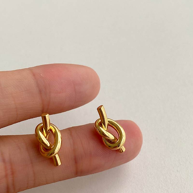 Fashion New Stainless Steel Stud Earrings For Women Geometri - 实物图