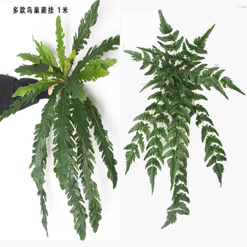 多款仿真植物墙配材1米大叶鸟巢蕨类植物21头羊齿蕨垂挂仿真绿植