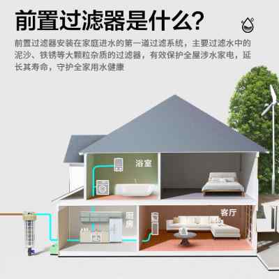 农村深井水泥沙家用ppr活接头进水口过滤器进户可清洗净水大流量