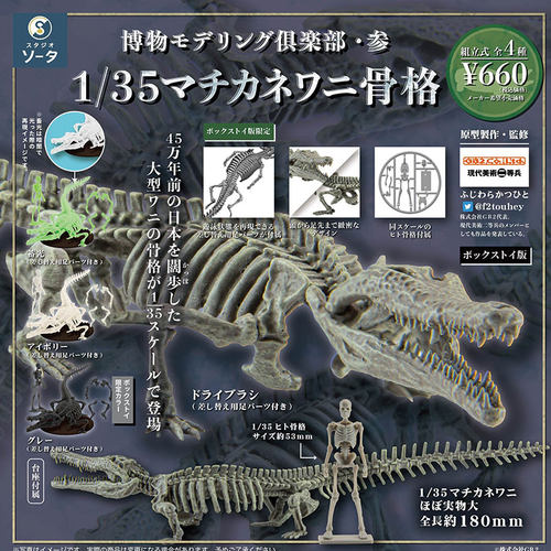 日本SO-TA长颈鳄骨骼模型扭蛋