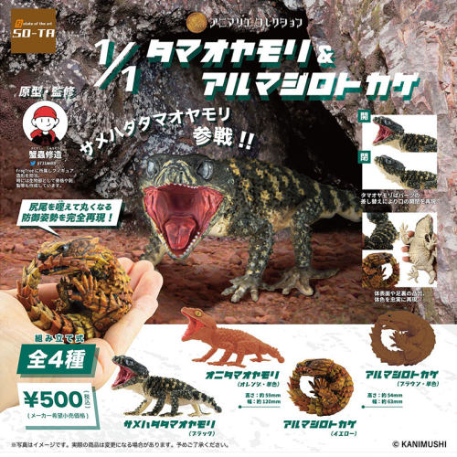 日本SO-TA动物模型蜥蜴扭蛋