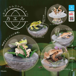现货 日本Qualia 青蛙树蛙蟾蜍雨蛙两栖动物盆景 潮玩摆件扭蛋