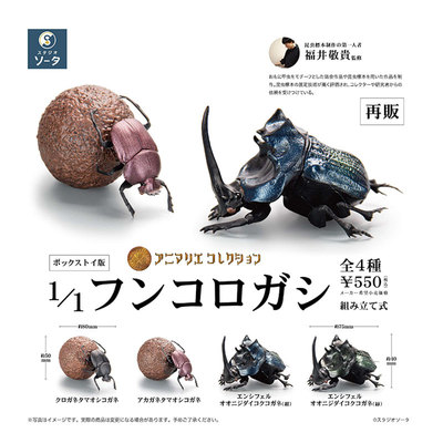 现货 日本SO-TA 屎壳郎 金龟子1/1昆虫甲虫收藏模型摆件扭蛋