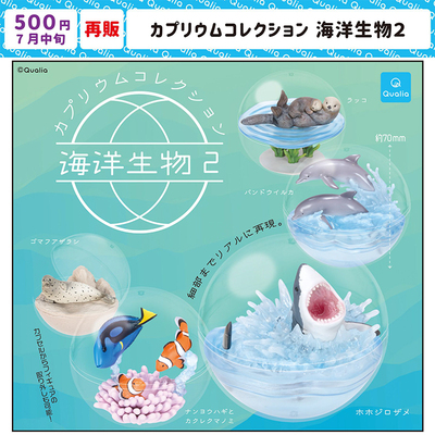 现货日本Qualia海洋生物收藏2鲨鱼海豚海獭海豹全套摆件扭蛋