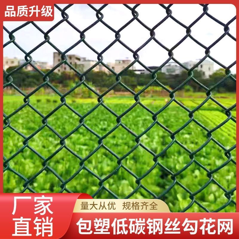 包胶勾花网(首单直降)菱形养鸡防护网防锈网方格网塑料篮球围加粗