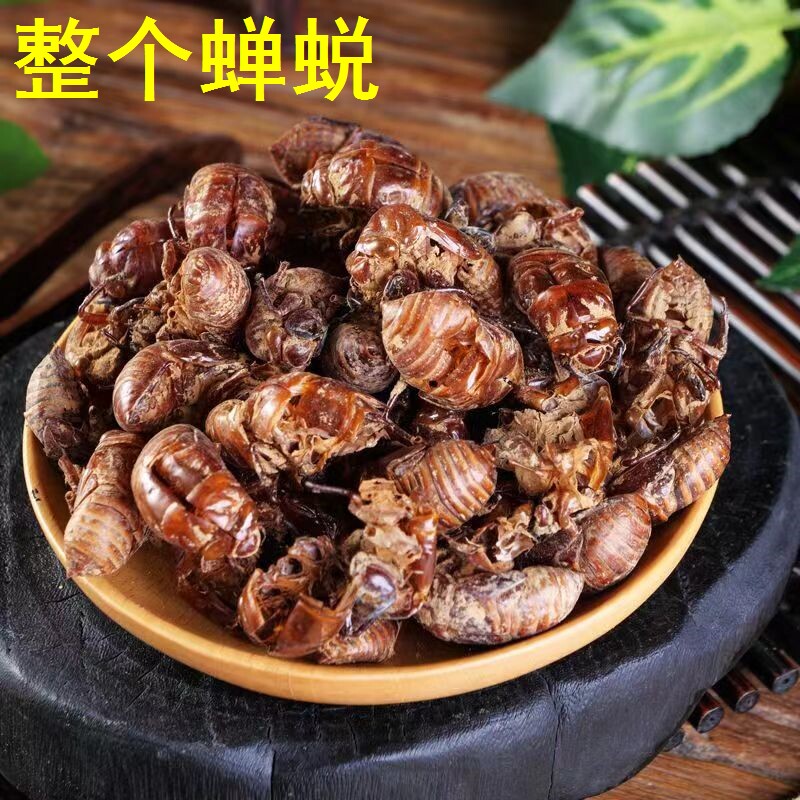 天然新鲜无泥土正品蝉蜕皮中药材知了壳蝉蜕粉毛猴原料金蝉衣虫退