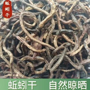 蚯蚓干货黑坑蚓泥鳅地龙干新货钓鱼饵料黄鳝笼专用诱饵大黑蚯蚓干