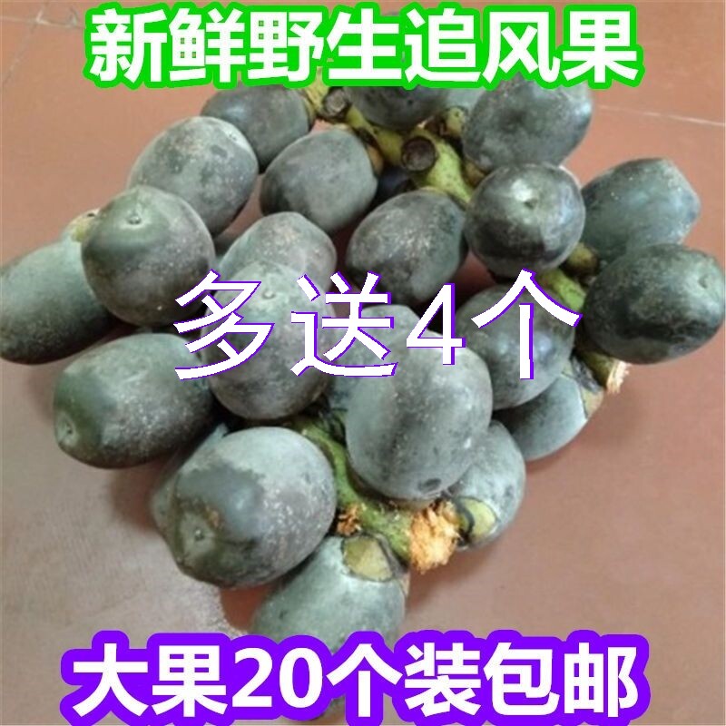 正宗越南追风果中药材泡酒刺虎鲜果外用涂皮肤12个果装送鸡血藤