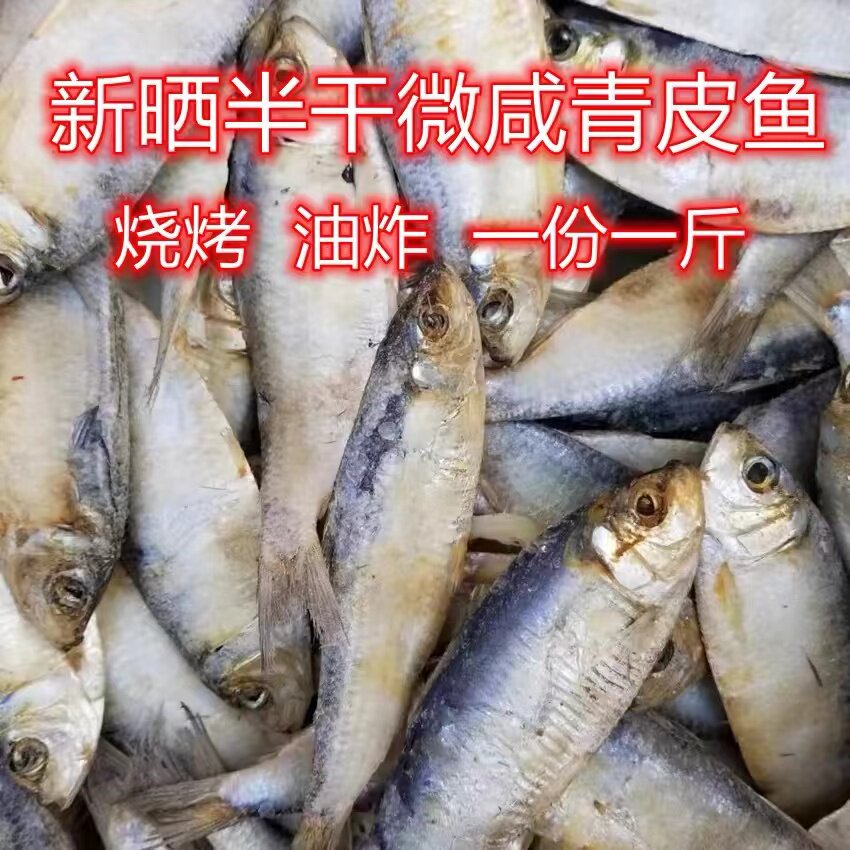 青皮鱼半干青鳞鱼微盐品质柳叶鱼烧烤油炸鱼青鱼皮子青林鱼小海鱼