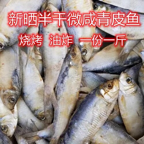 青皮鱼半干青鳞鱼微盐品质柳叶鱼烧烤油炸鱼青鱼皮子青林鱼小海鱼