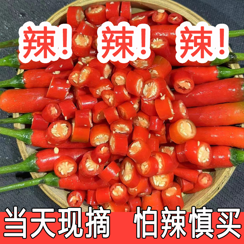 辣得跺脚脚小米椒下单送50克