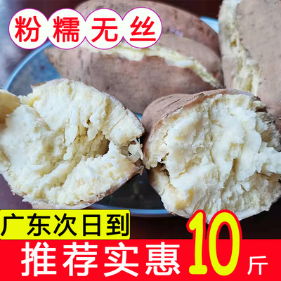 新鲜高州爆皮王粉糯香甜农家自种