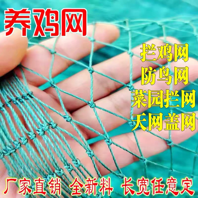 养鸡网山鸡围栏网塑料网菜园拦鸡安全网