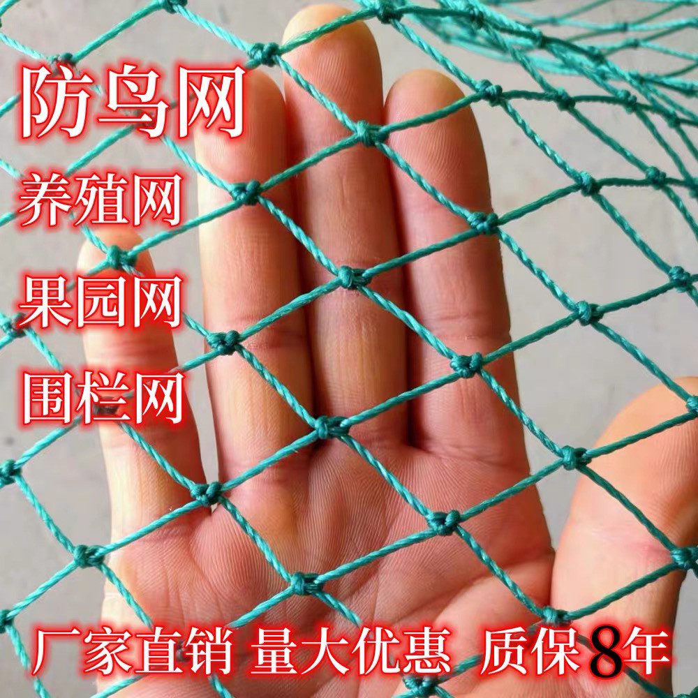 防鸟网养殖天网大棚网尼龙网果园网鱼塘网养鸡天网爬藤网拦乒乓球