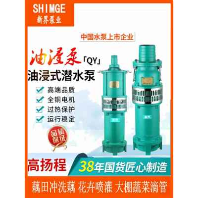 奥恩森新界泵业QY系列1