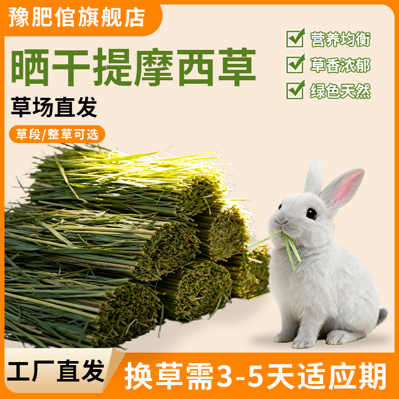 提摩西草晒干提草兔子食用草饲料龙猫荷兰猪宠物草料兔草美提草段