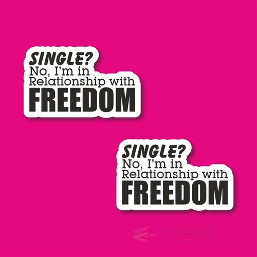 Freedom Laptop and Phone Sticker-Decal max.5cm 2'li Set