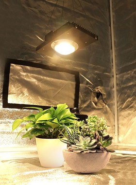 CREE CXB3590 100W 200W COB LED Grow Light Full Spectrum Repl